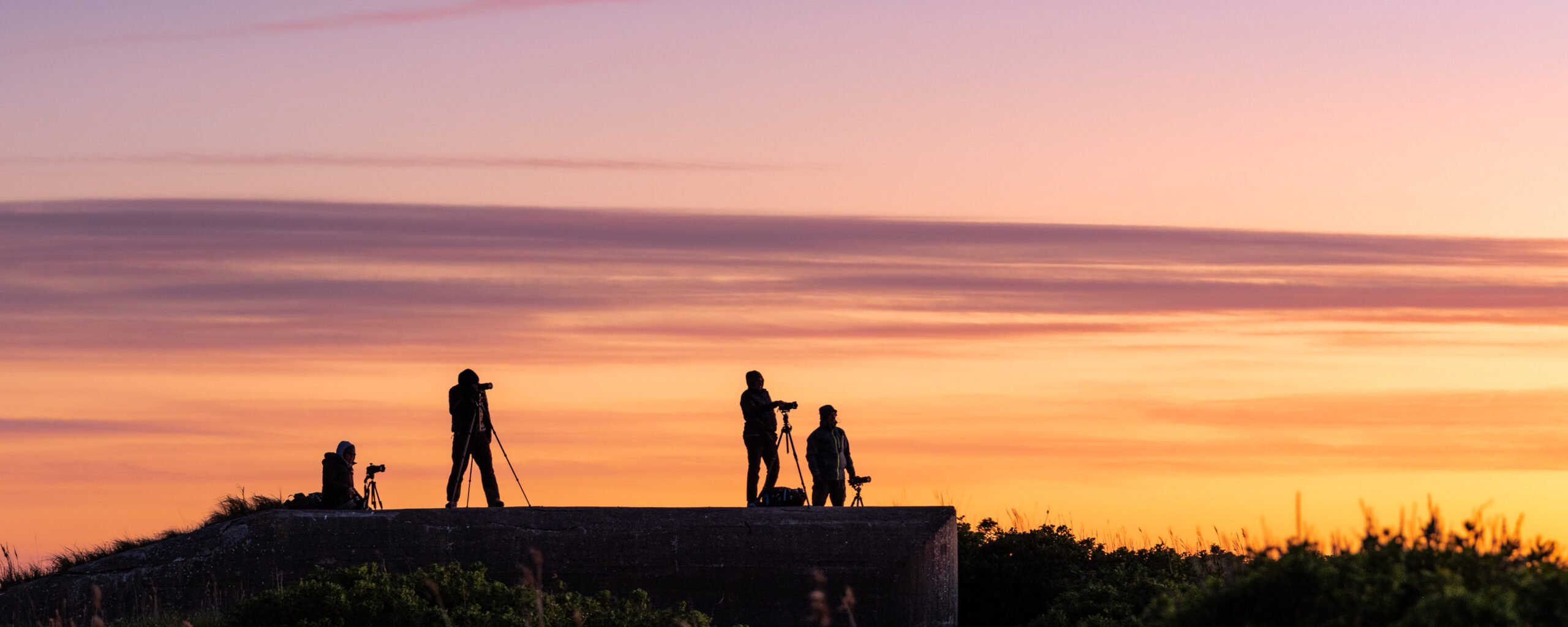 Fotografieren lernen in der Gemeinschaft.