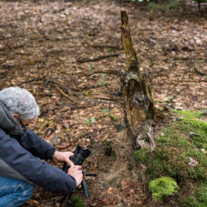 Making of Magischer Wald