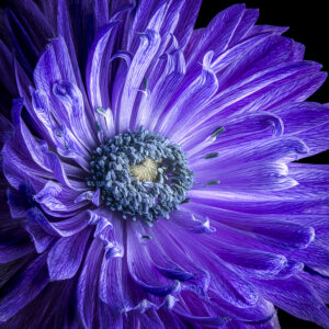 FotoKurs Fokus Stacking