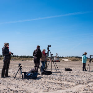 Mehrere Fotografen am Strand in Slettestrand in Dänemark.