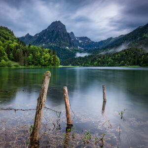 Holzpfosten vom einem Zaun, die im Wasser vom Obersee stehen. FotoKurs Landschaft – Die Kunst des Sehens.