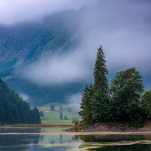 Gräser am Ufer vom Obersee.