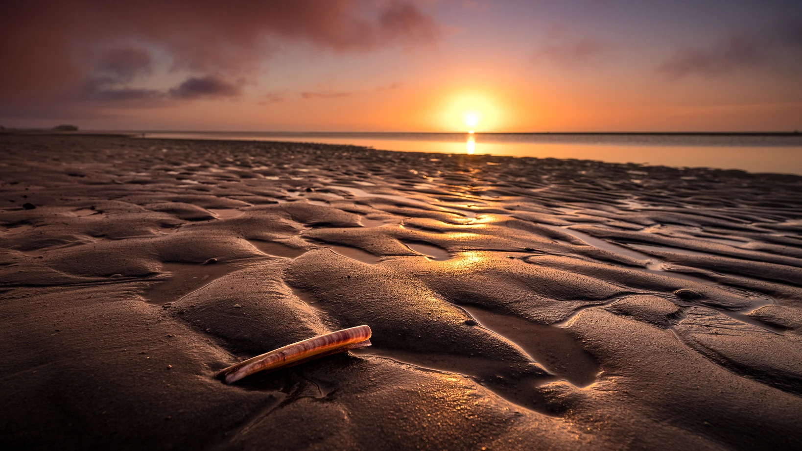 Fotomotive erkennen – Schwertmuschel am Strand bei Sonnenuntergang, der Blick der sich öffnet.