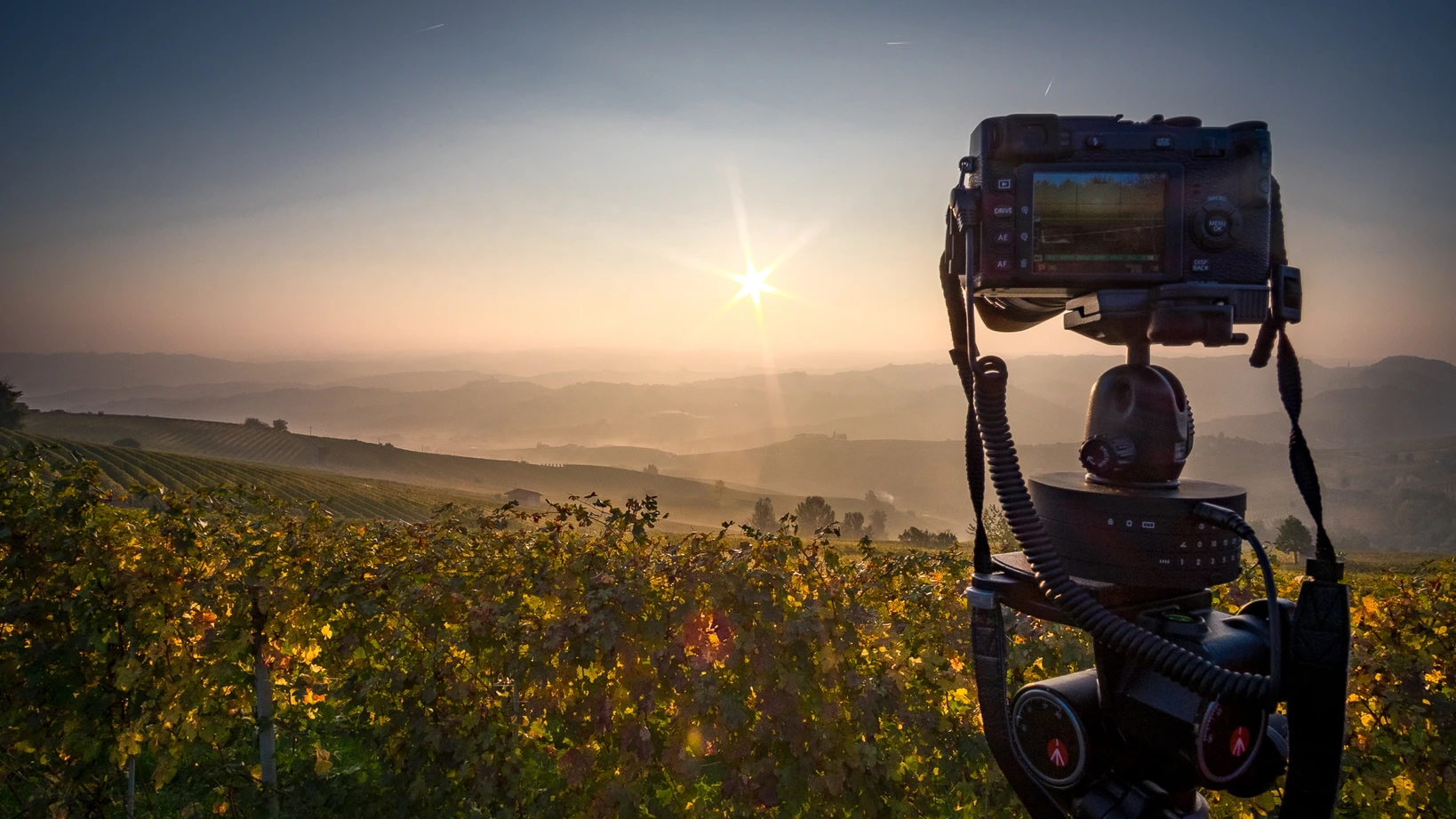 Motive beim Fotografieren finden – ein Moment des offenen Schauens.