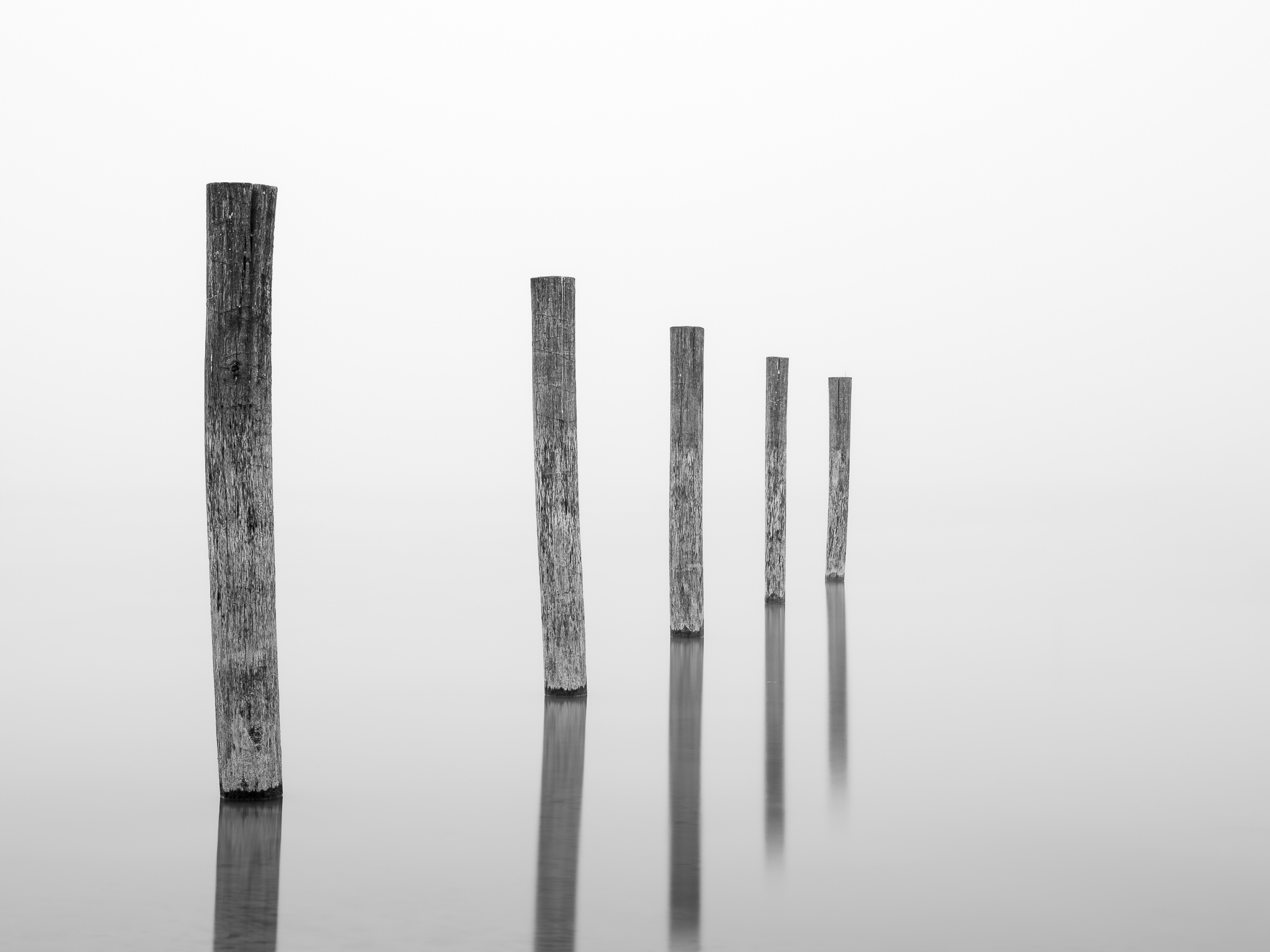 Fünf Holzpfosten im Nebel über dem See – Innehalten und Wahrnehmen beim Fotografieren lernen