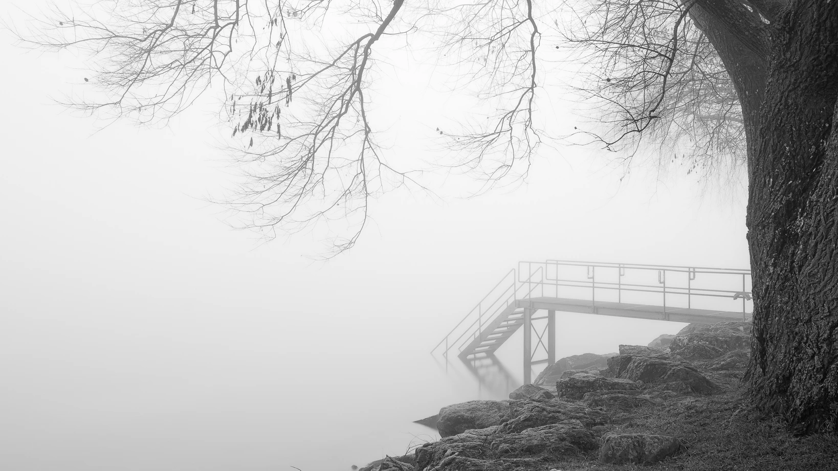 Schwarzweissaufnahme eines nebligen Seeufers mit kahlem Baum und einem Steg der sich ins Weiss verliert, ruhige Bilder durch Stille und Reduktion